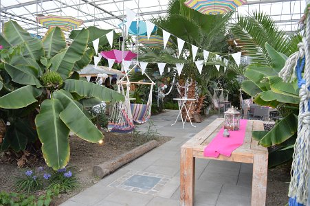 Partypics 100 jaar